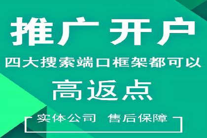 经典案例：信息流广告投放公司的成功之路